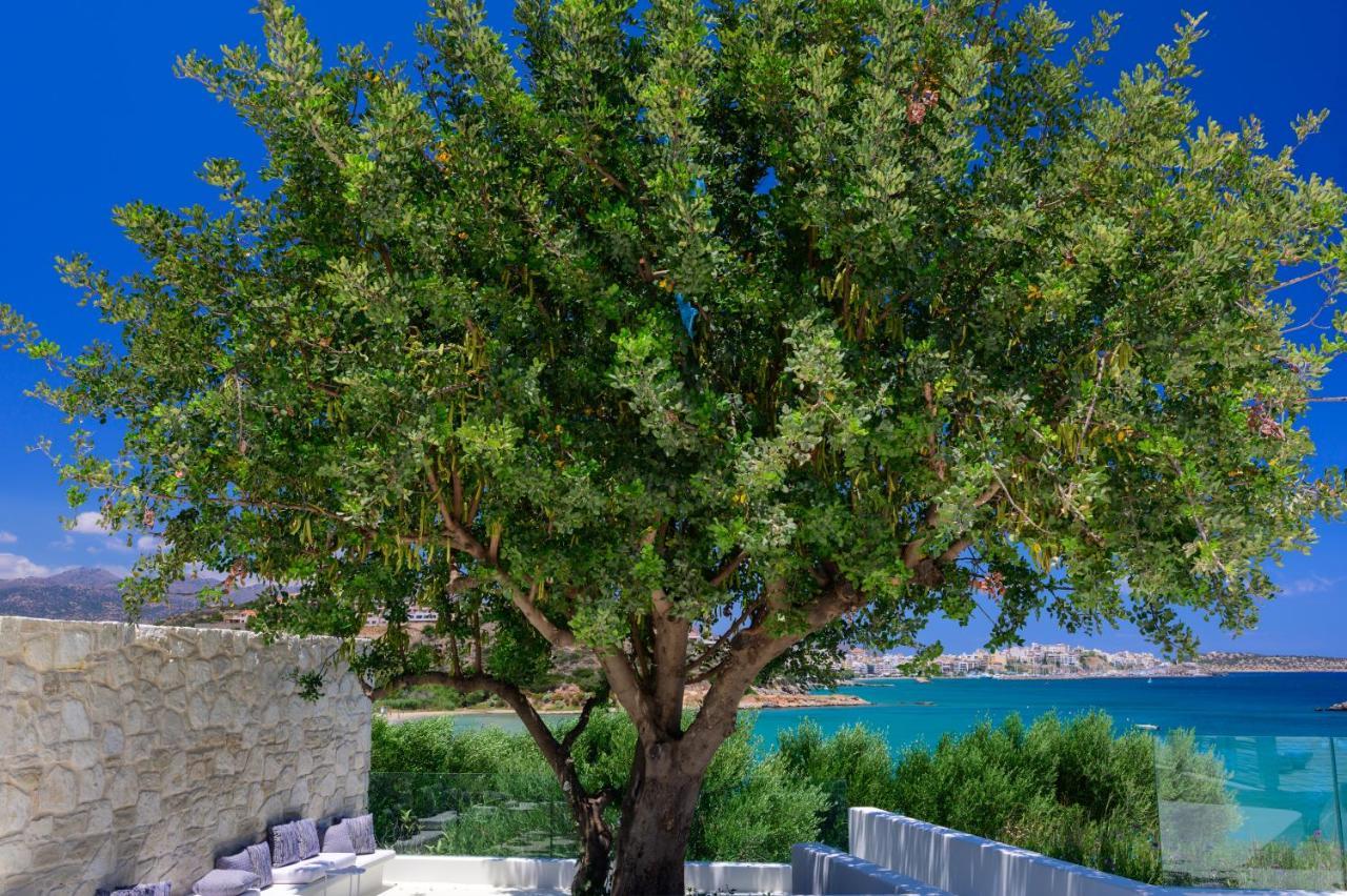 The Island Concept Luxury Boutique Hotel Heated Pool Ayos Nikolaos Dış mekan fotoğraf